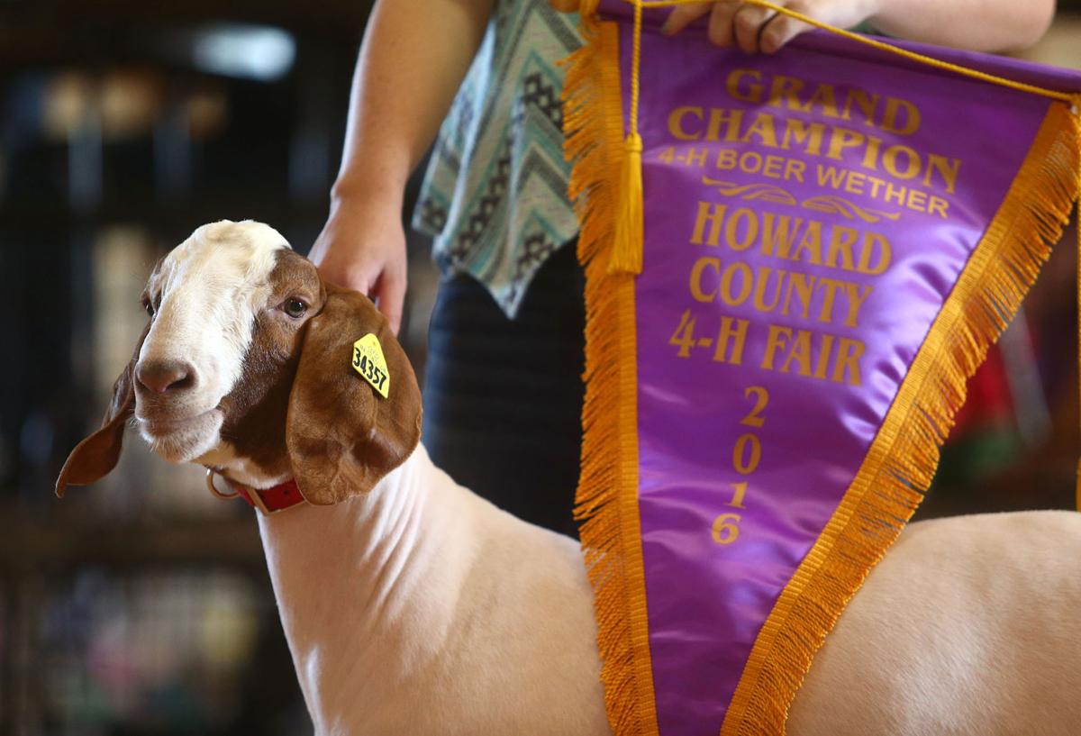 Livestock auction brings mixed emotions to 4H participants Local