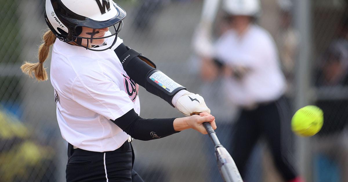 SOFTBALL: Hot-hitting Panthers roll past Red Devils in sectional ...