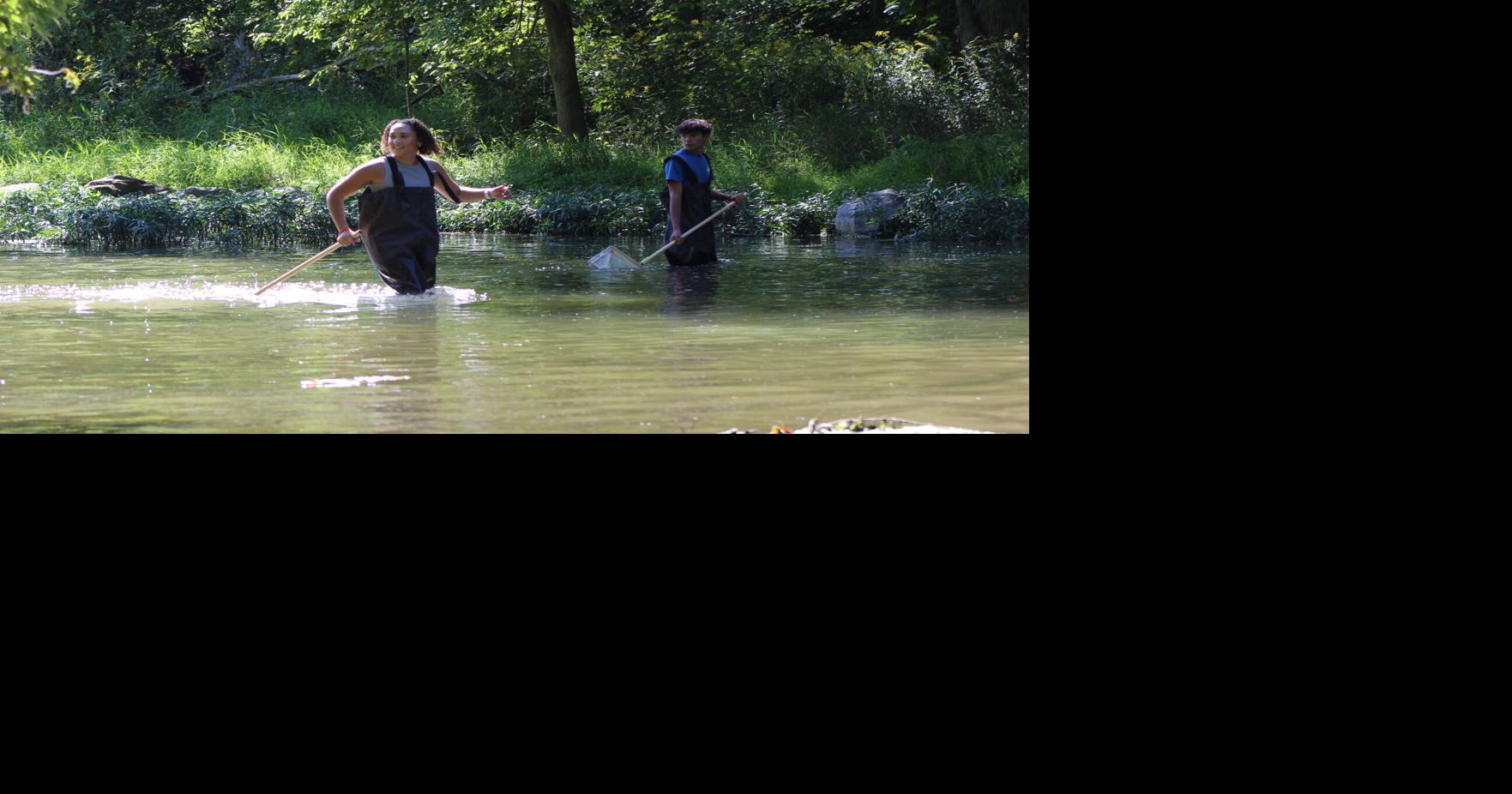 Kokomo High School science class learns about diversity, water quality on Wildcat Creek