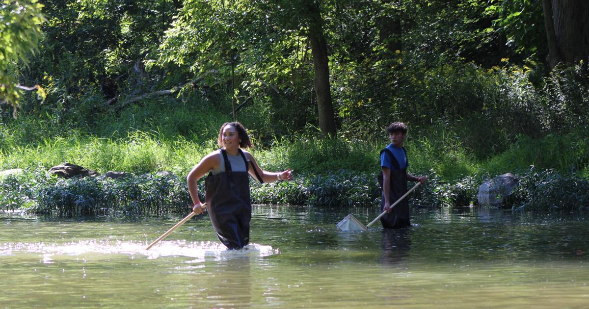 Kokomo High School science class learns about diversity, water quality on Wildcat Creek