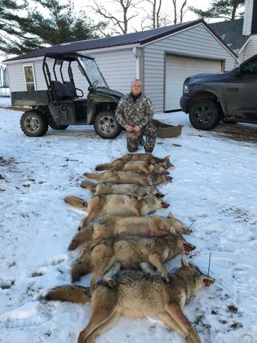MARTINO: Sportsman Chandler manages wildlife by hunting coyotes, Sports