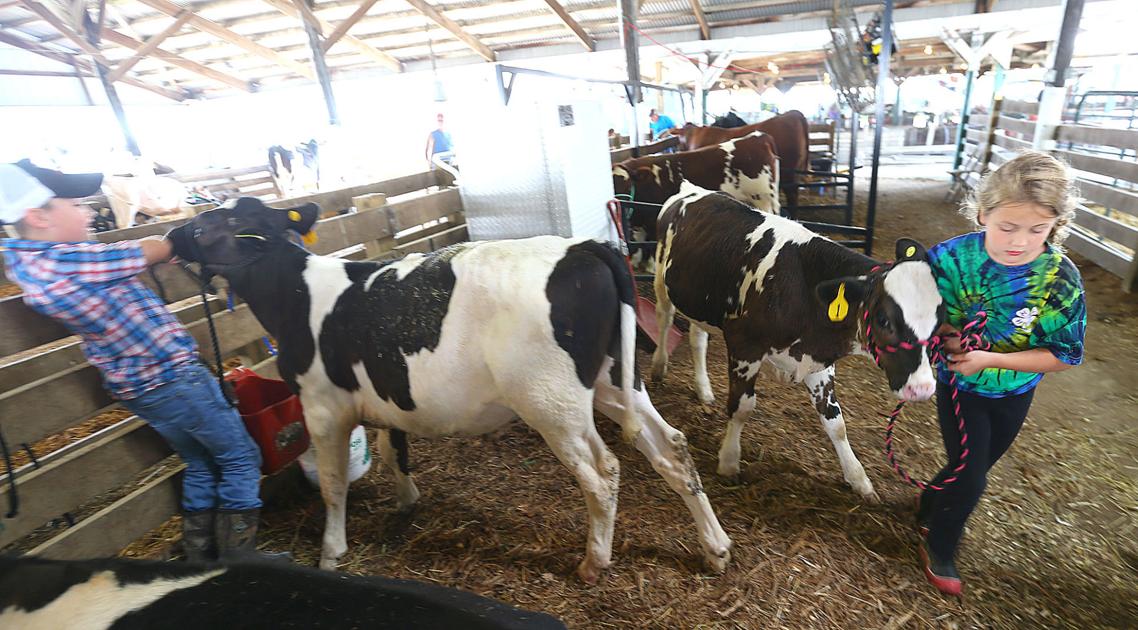 Covid Fears Postpone Miami Co 4 H Fair Covid 19 Kokomotribune Com