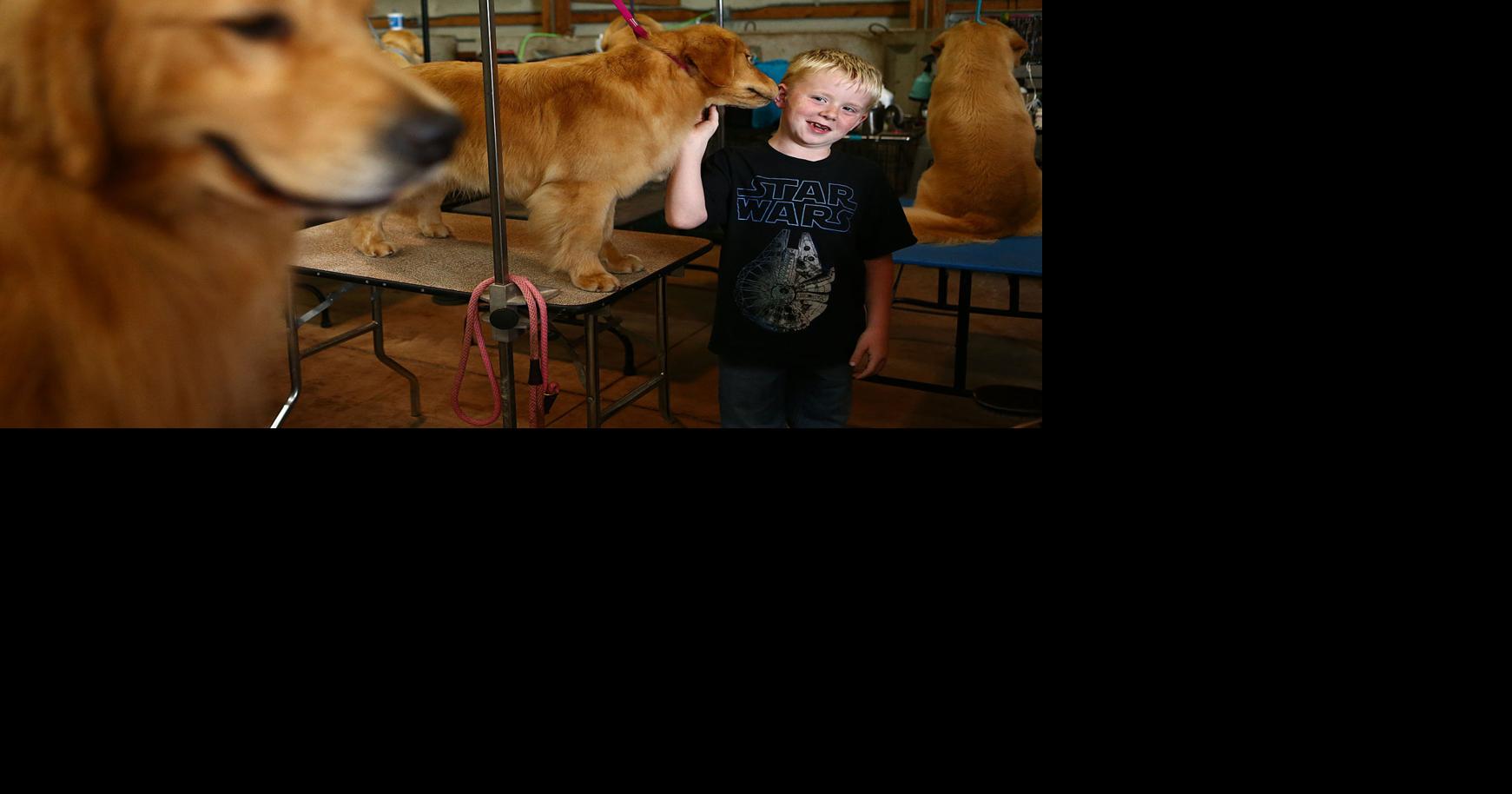 Gone to the dogs 750 exhibitors compete in annual Kokomo Kennel Club