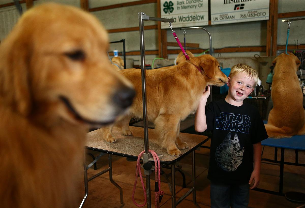 Little Fort Kennel Club Dog Show Little Fort Kennel Club Dog Show