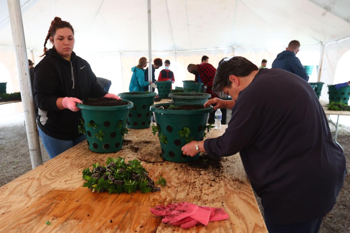 Flower Basket Planting 04.JPG
