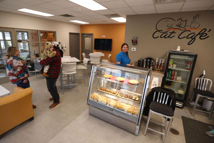 Humane Society’s Cat Café reopens with extended menu, hours Features