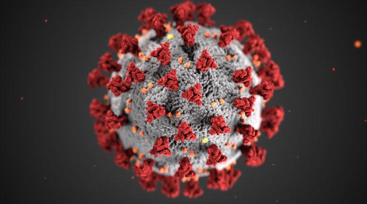 Indiana Virus Deaths Near 500 Covid 19 Kokomotribune Com