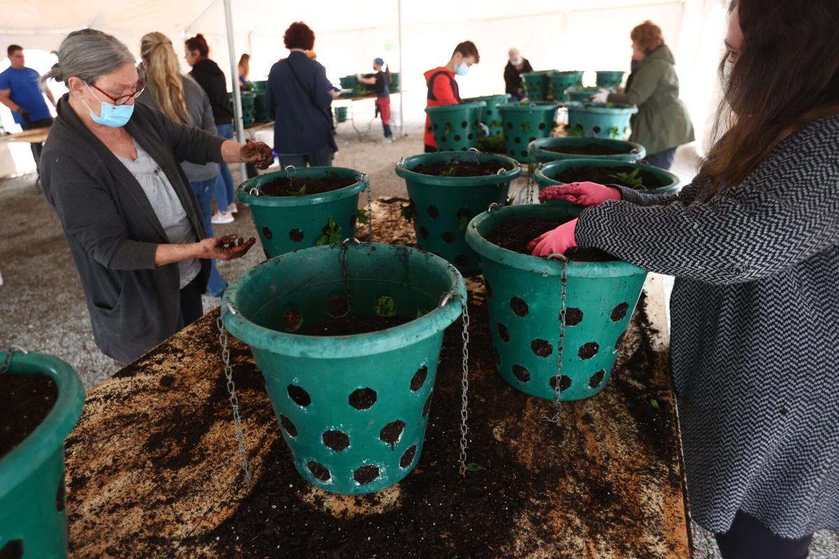 Flower Basket Planting 10.JPG