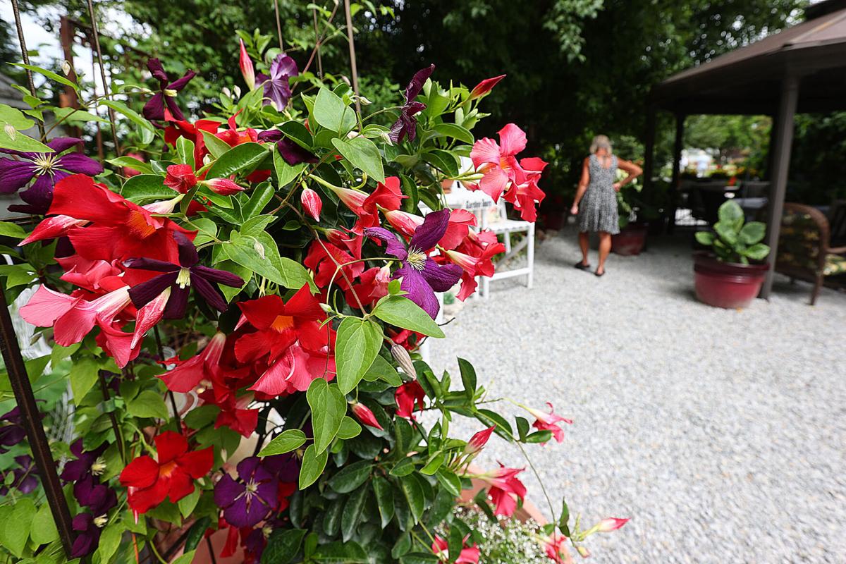 Garden Stroll 16.jpg