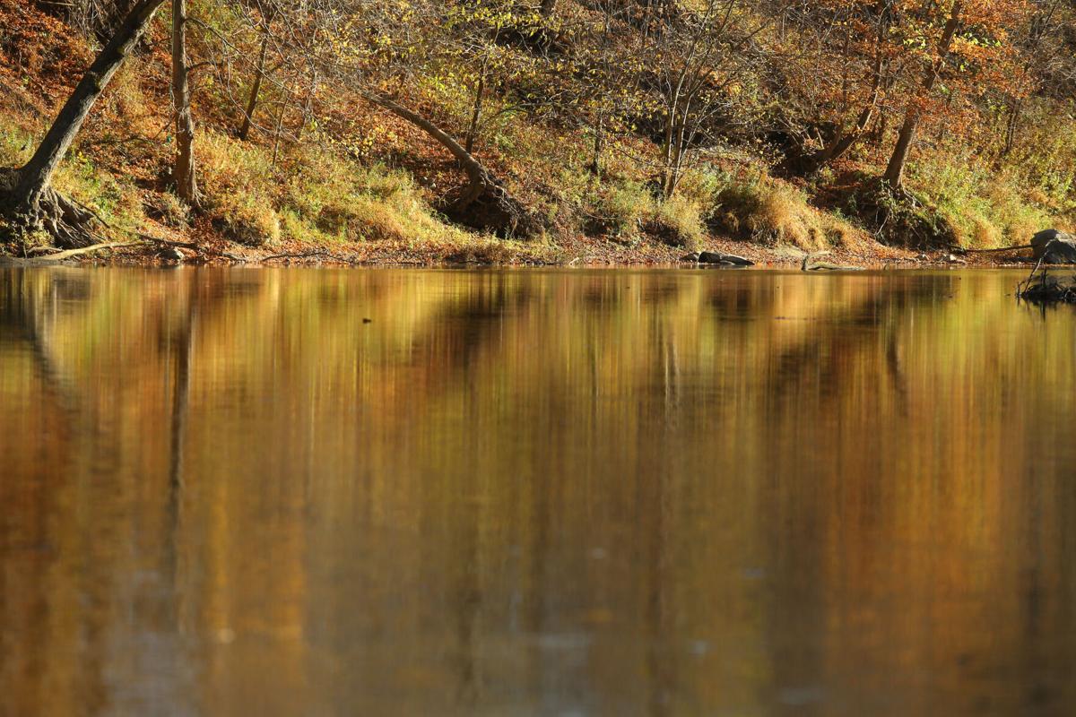 Eel River WEB ONLY 24.JPG