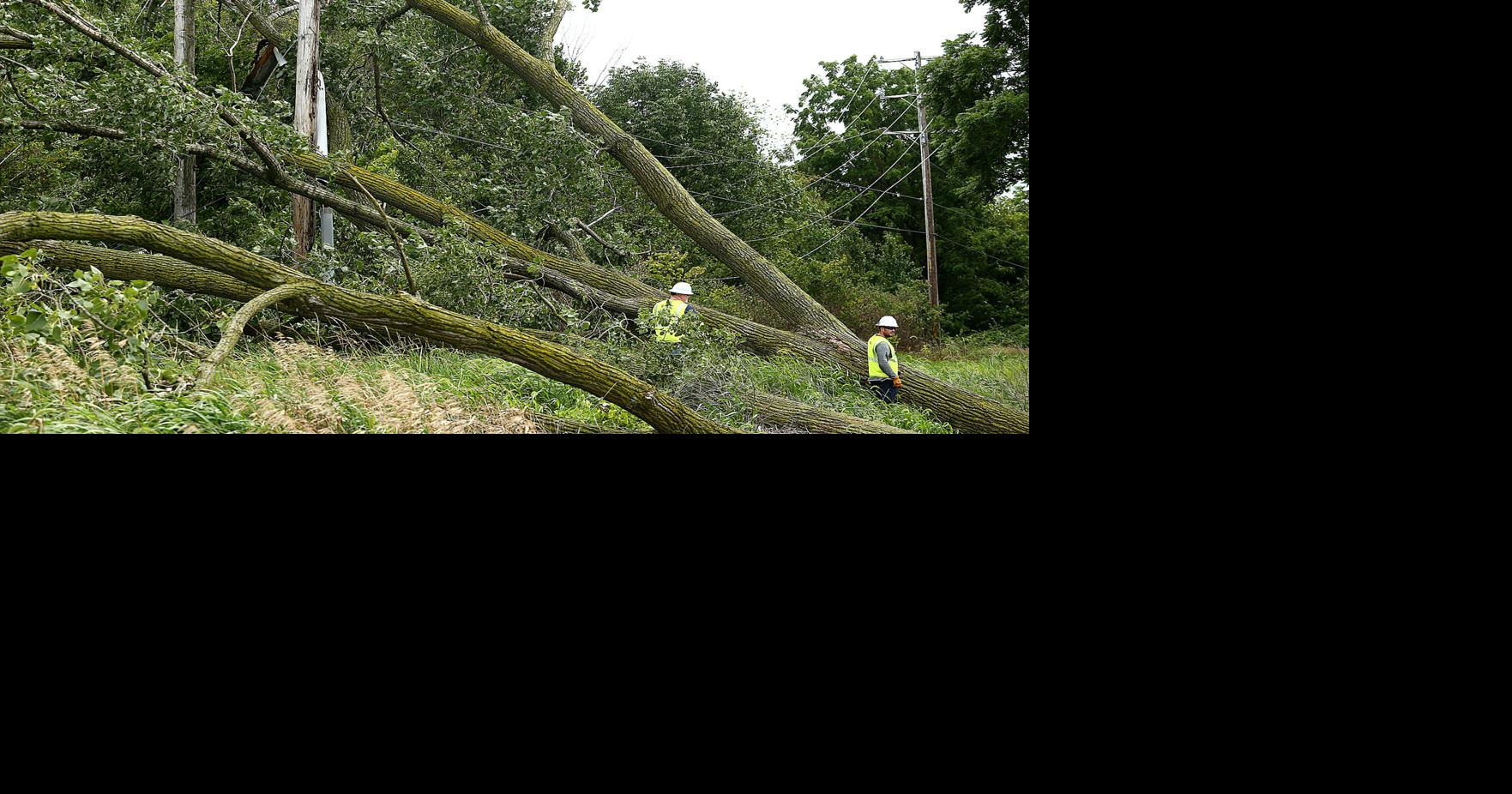Storm knocks out power to 2,400, downs trees | News | kokomotribune.com