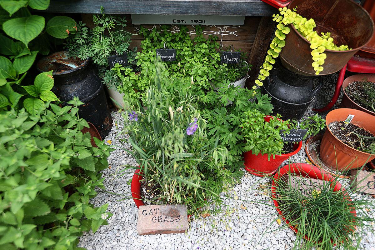 Garden Stroll 21.jpg