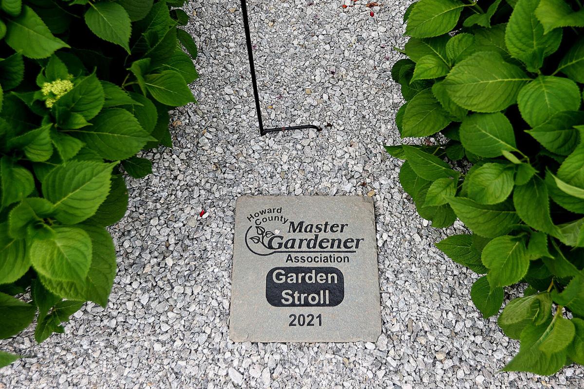 Garden Stroll 22.jpg
