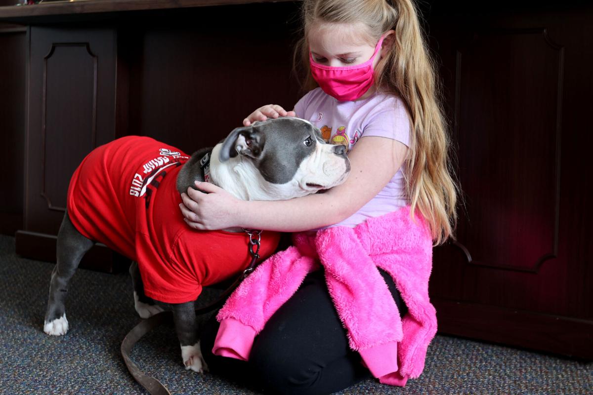 TES Therapy dog 01.JPG
