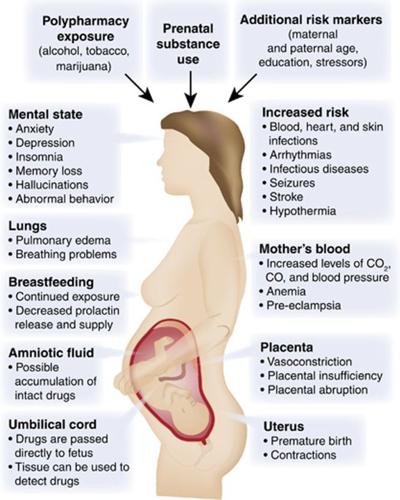 Prenatal Nutrition During Pregnancy (Infographic) - Baptist Health