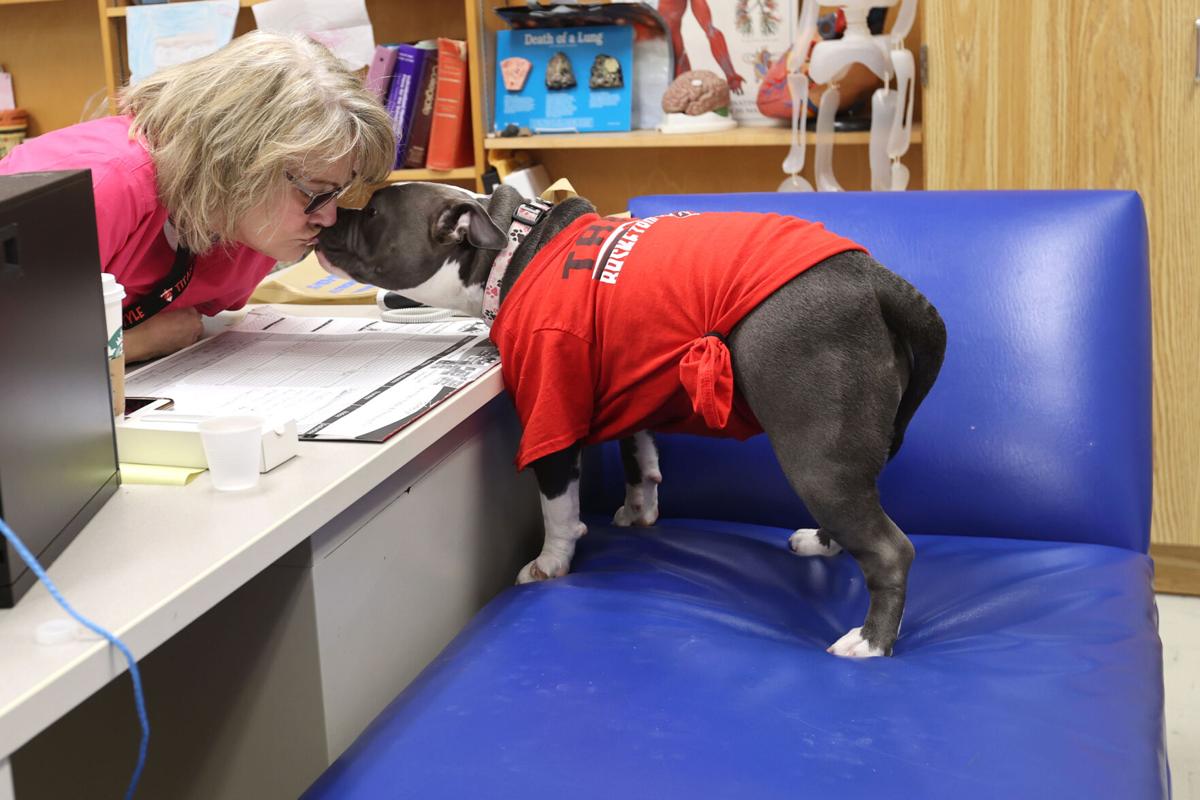 TES Therapy dog 02.JPG