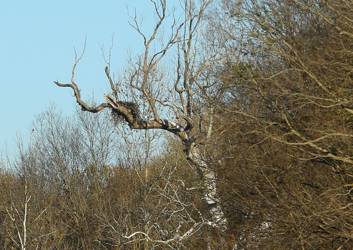 Eel River WEB ONLY 26.JPG