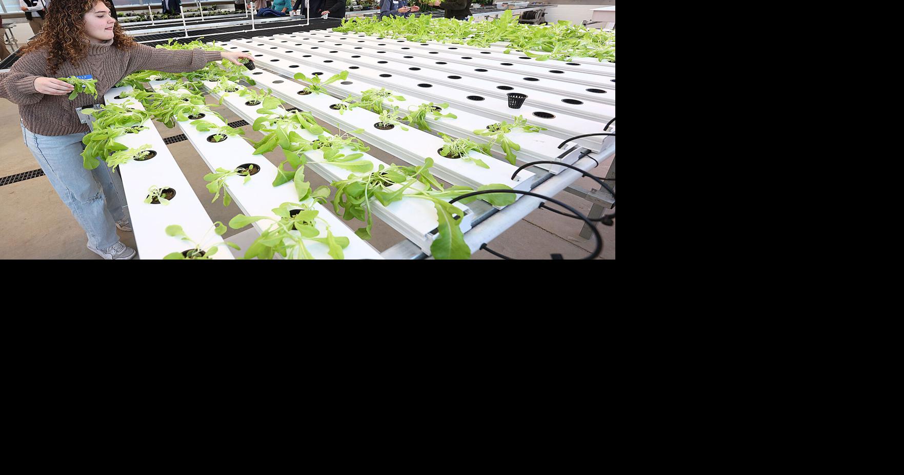 Tipton schools Greenhouse News