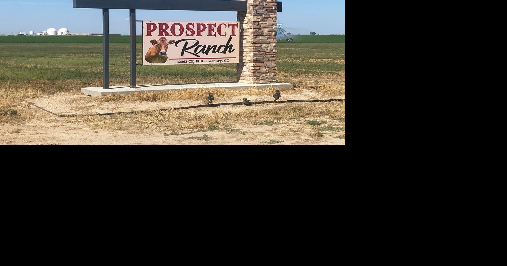 Government penalizes businesses over 6 deaths at Colorado dairy