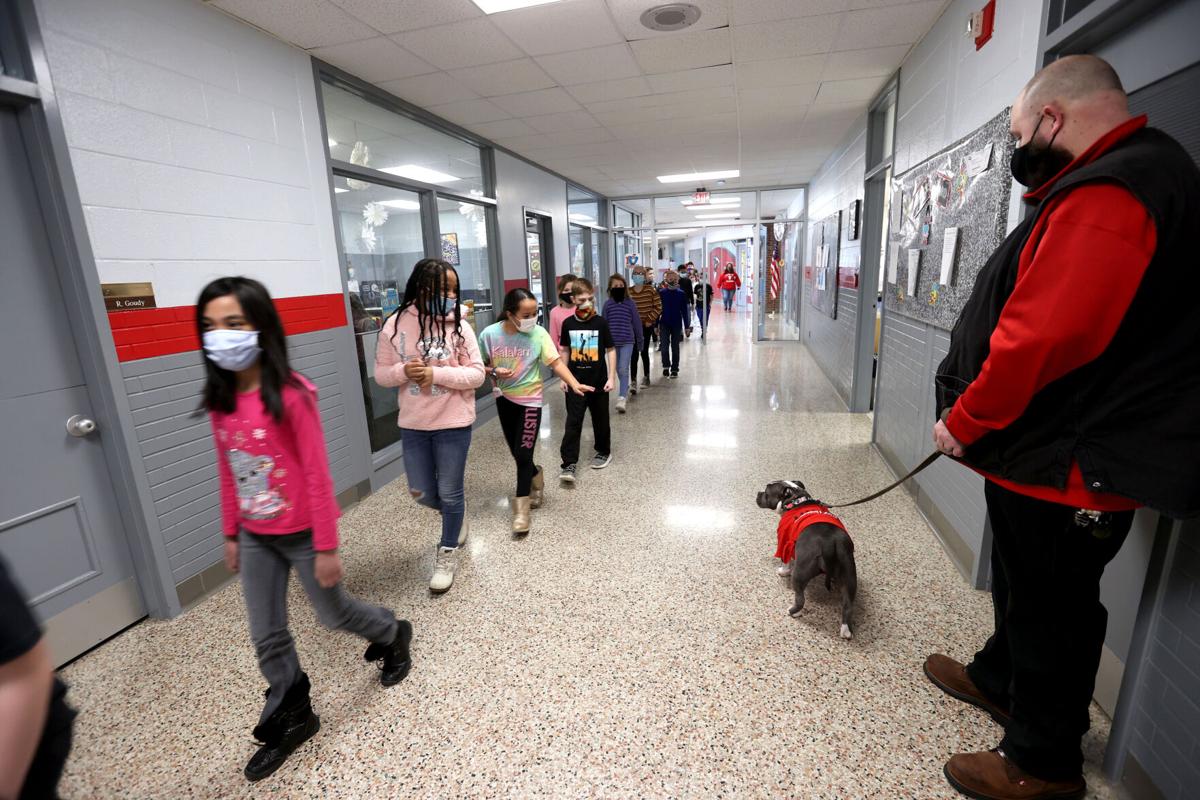 TES Therapy dog 03.JPG