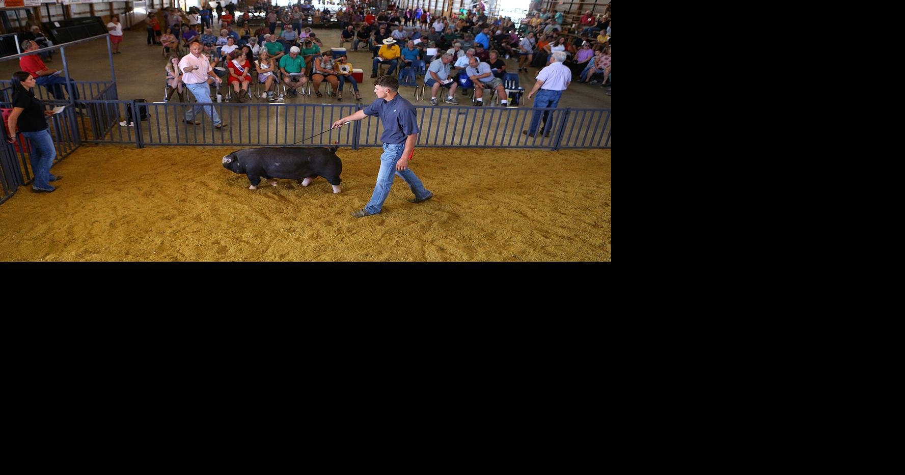 Howard County 4H Fair 2023 auction results Howard County Fair