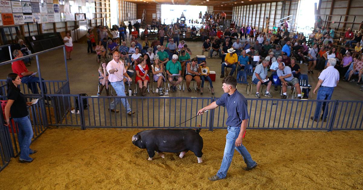 Howard County 4H Fair 2025 auction results Howard County Fair