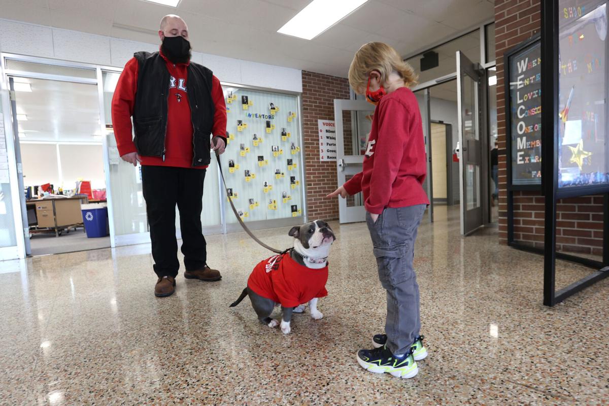 TES Therapy dog 04.JPG