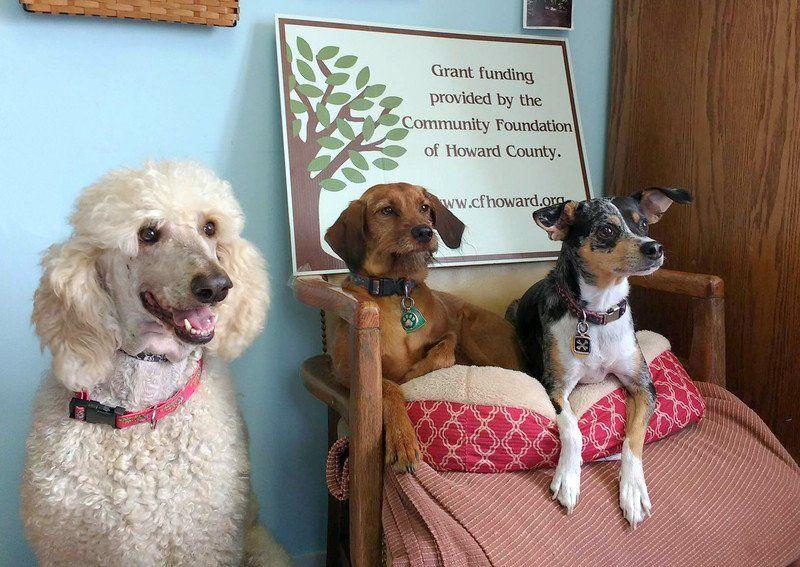 Plan commission gives development plan approval for new Kokomo Humane