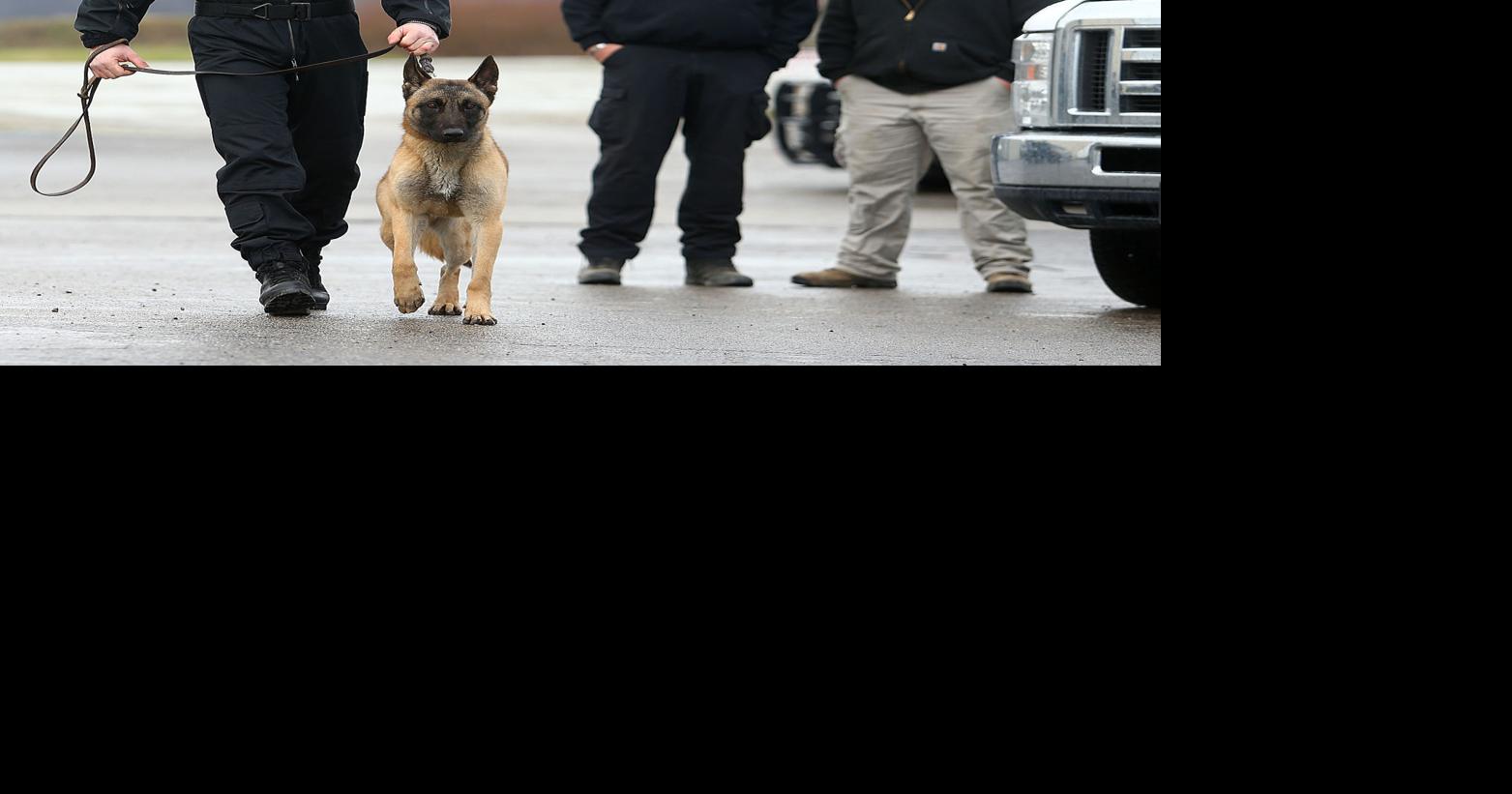 Dog training facility replaces police dog killed in Paris terror