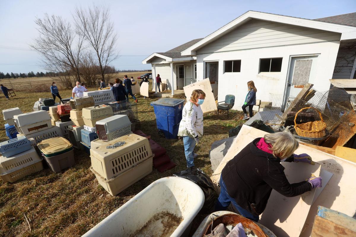 Humane Society of Tipton County seeks $30K from county | Local news |  