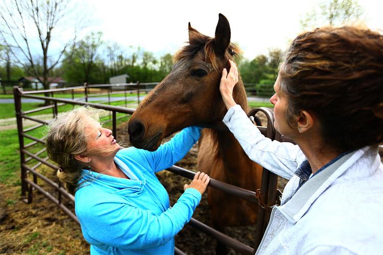 Narrow Gate Horse Ranch to offer therapeutic riding to atrisk youth