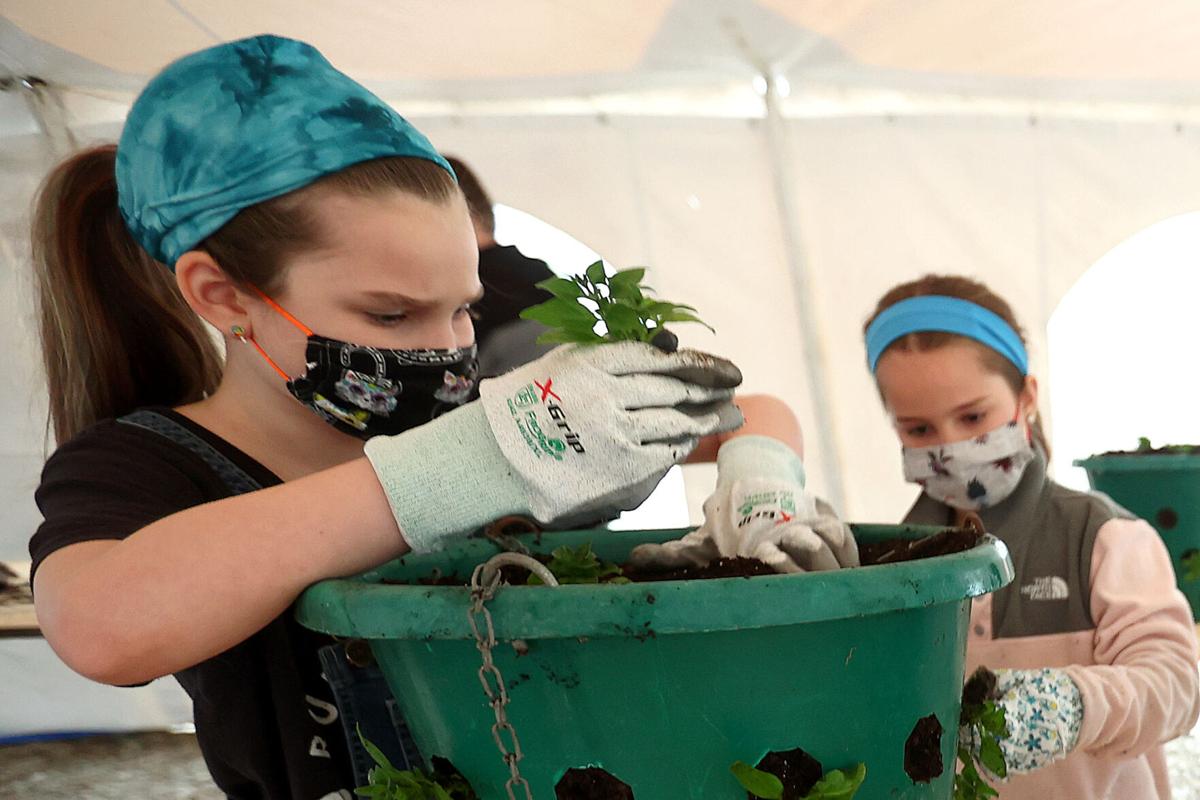 Flower Basket Planting 03.jpg