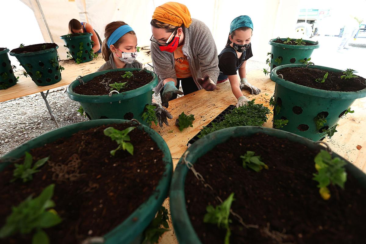 Flower Basket Planting 05.jpg
