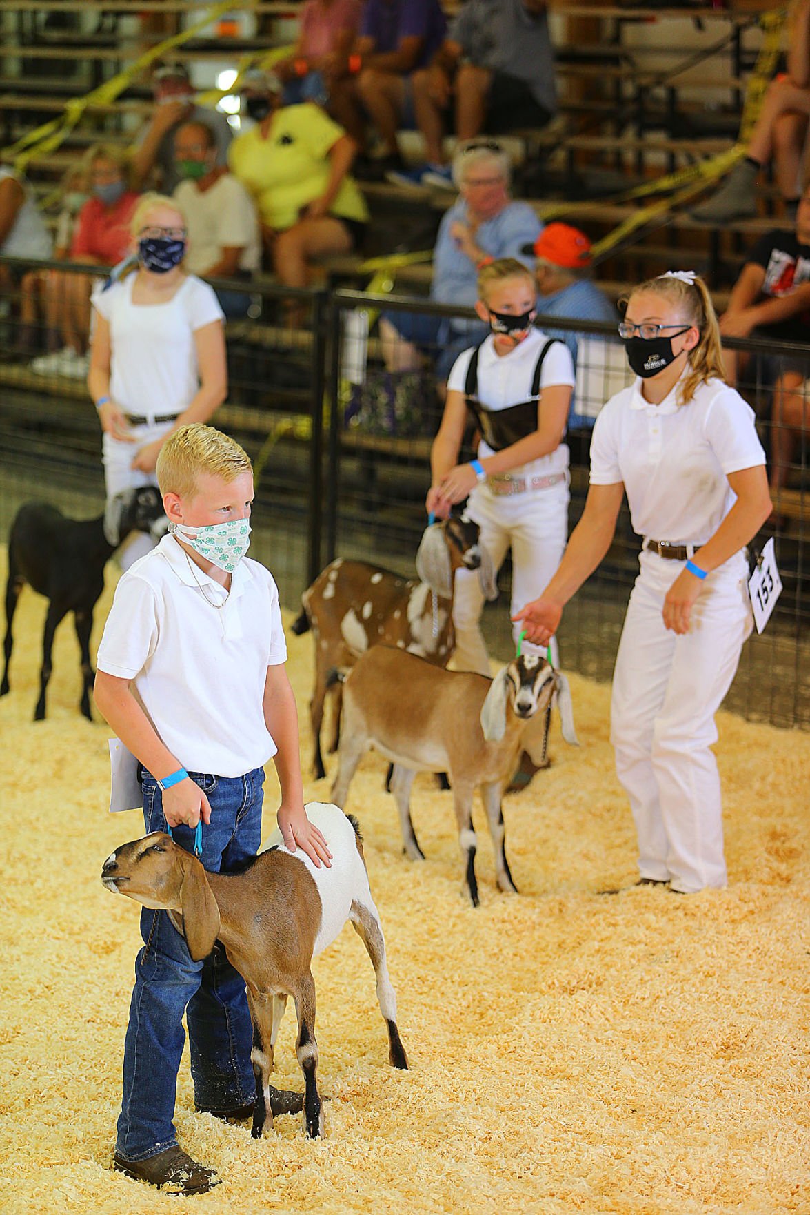 4H Fair Goats Howard County Fair