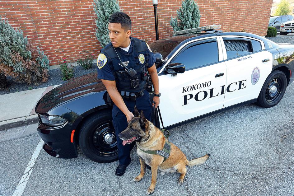 Kokomo Police K9 Maxwil heads into retirement Local news