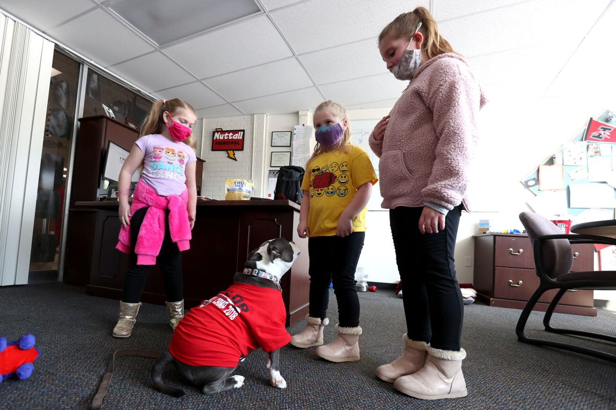 TES Therapy dog 06 WEB ONLY.JPG
