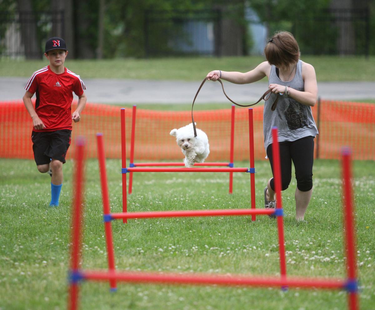4 Precious Paws hosts first Dog Olympics News