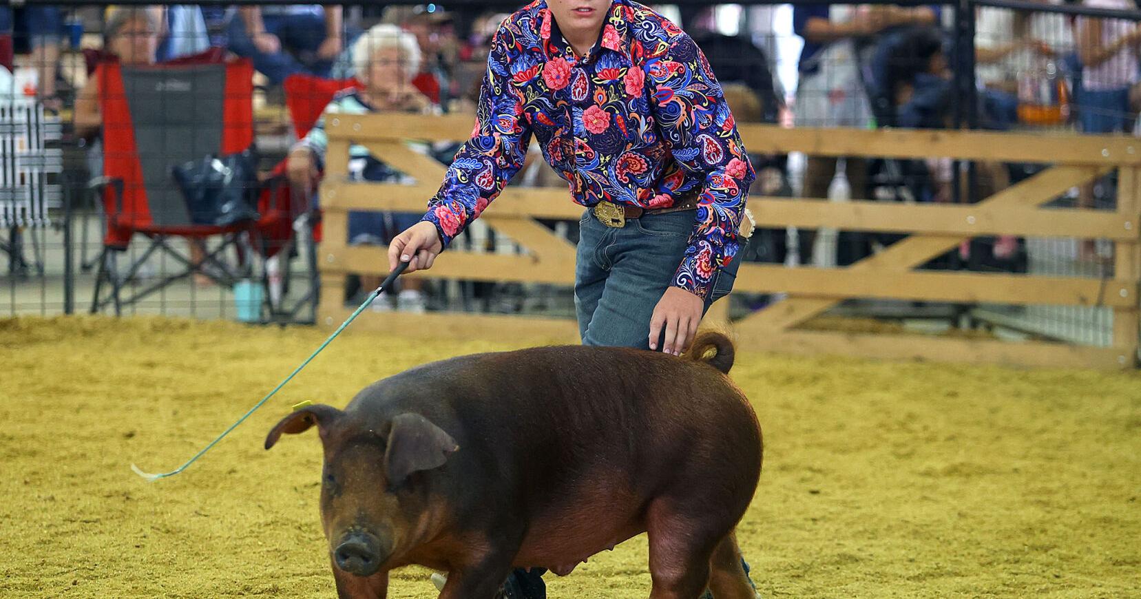 Wes-Del freshman takes Supreme Showman competition - Vimarsana News