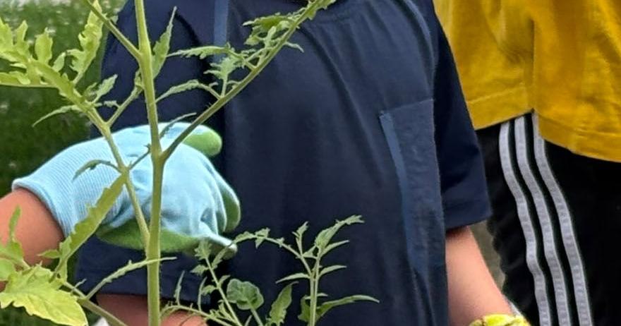 Russiaville area students learn to care for a garden