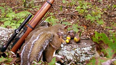 MARTINO: For some, squirrel hunting is best | Sports ...
