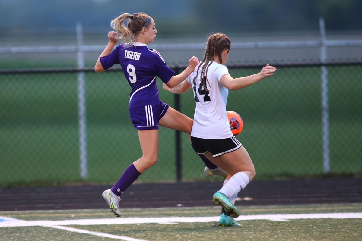 Soccer Sectional Girls WHS vs NHS 01.JPG