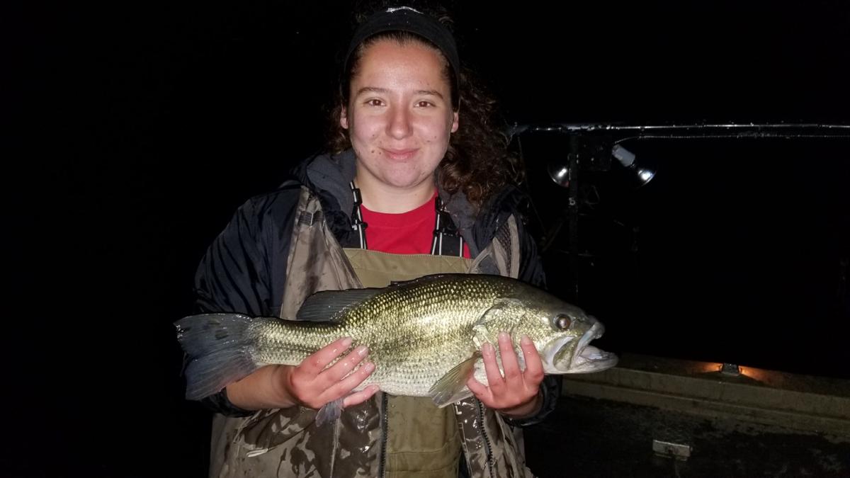 Martino Dnr Conducts Fish Survey On Kokomo Reservoir Sports Kokomotribune Com