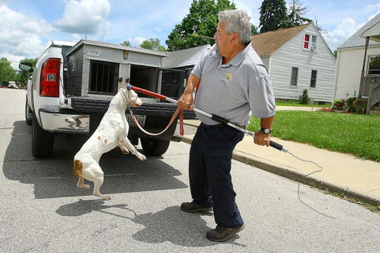 Bryant looks to keep pets, owners in line as animal control officer | Local  news 