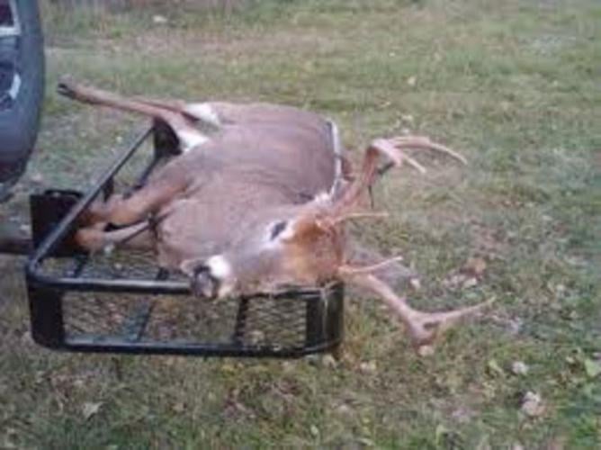 Minnesota girl bags 12-point buck first time hunting