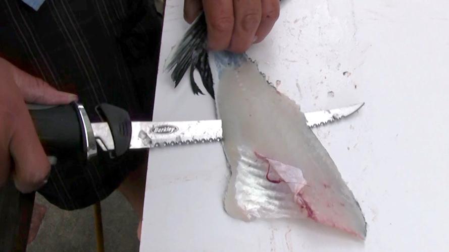 MARTINO: Electric fillet knife is go-to option for cleaning fish