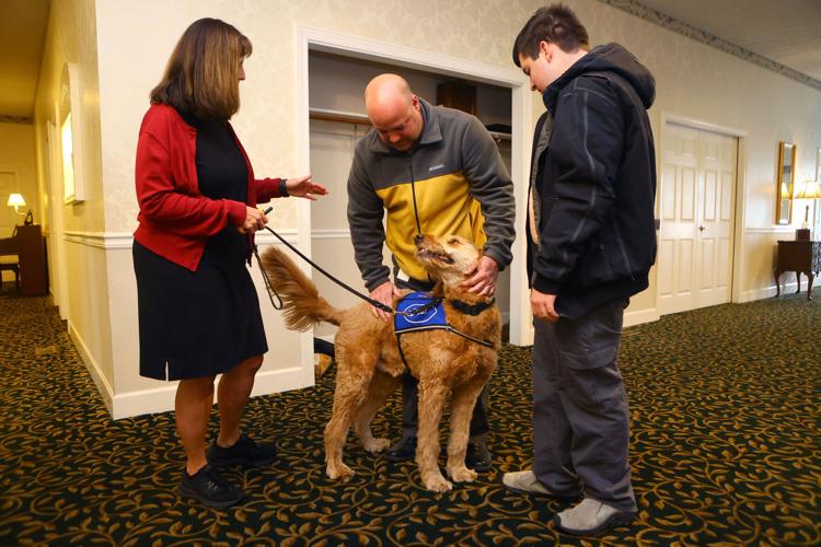 Stout's newest therapy dog a big success Local news