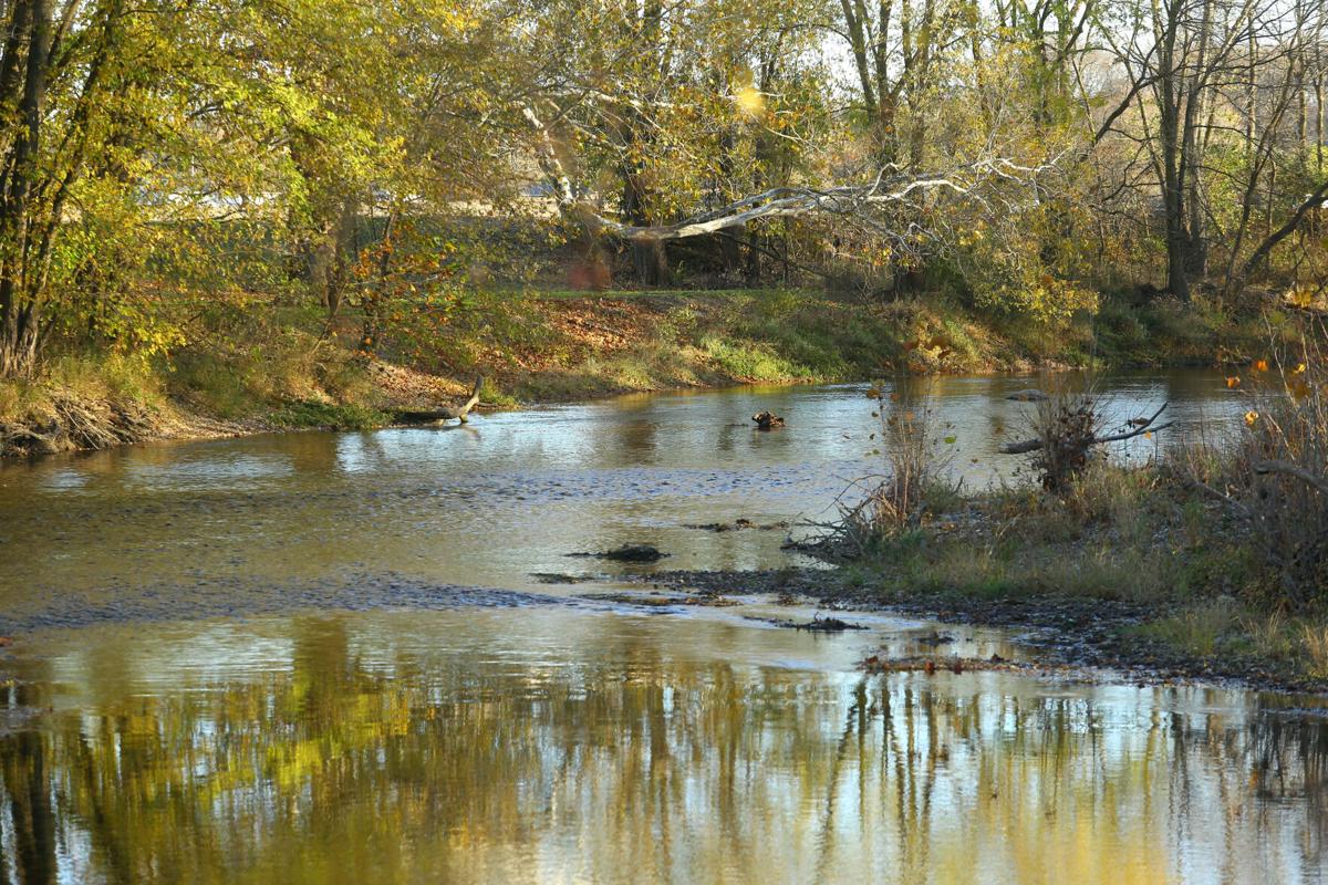 Eel River WEB ONLY 30.JPG