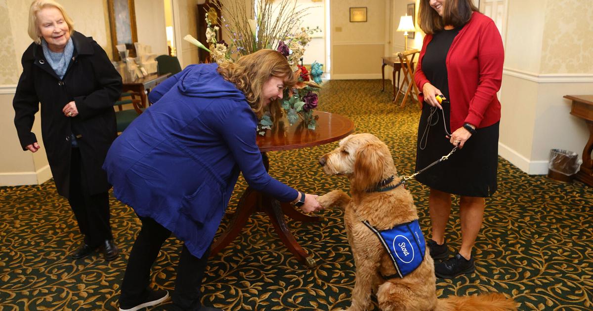 Stout’s newest therapy dog a big success | Local news