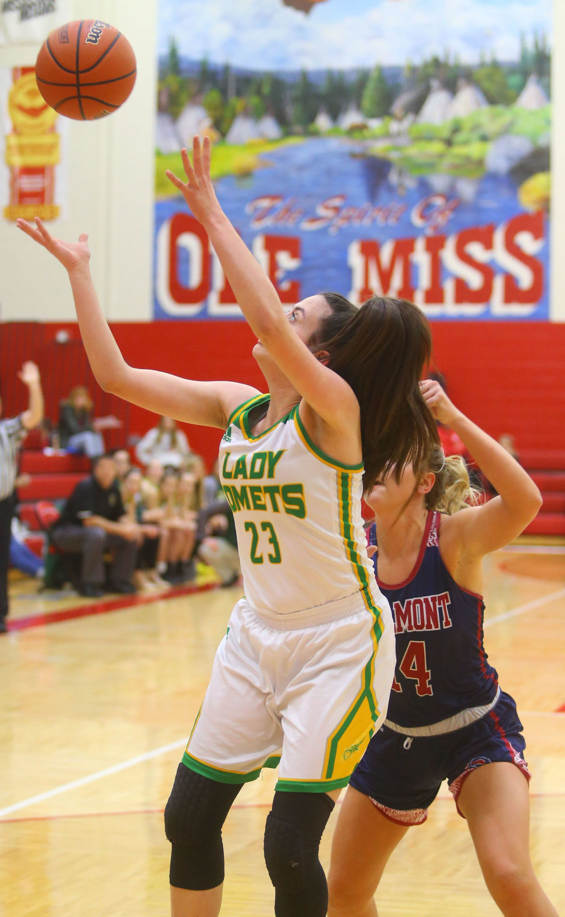 EHS vs Bellmont GBB Web Only 10.JPG