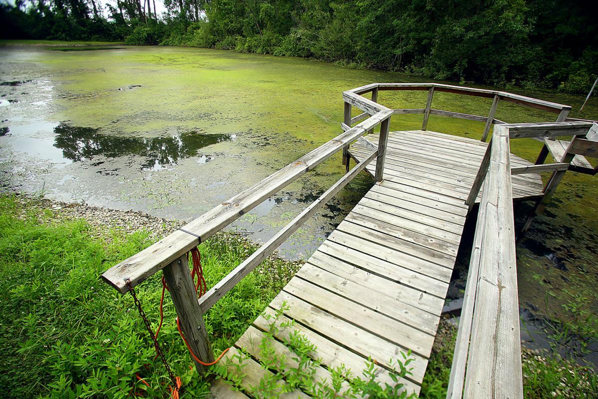 Outdoor preschool a benefit for children and parents | News